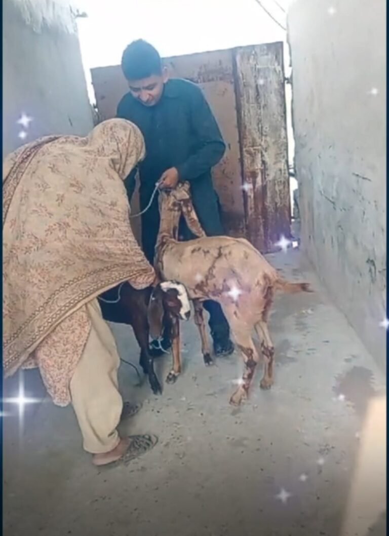 A Gift of Goats: Supporting an Elderly Woman with Dignity